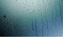 Dehumidified window
