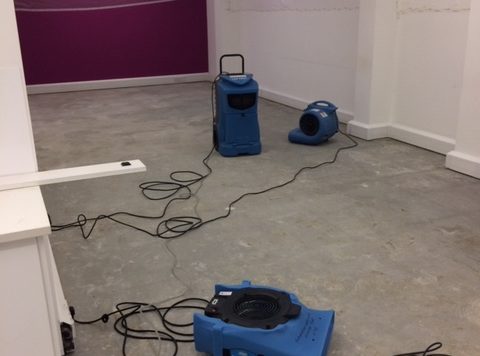 How to dehumidify a basement