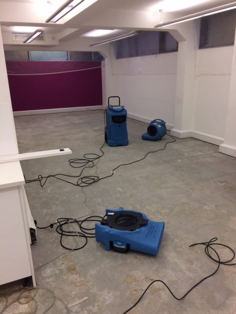 How To Dehumidify A Basement Dehumidifier Rental