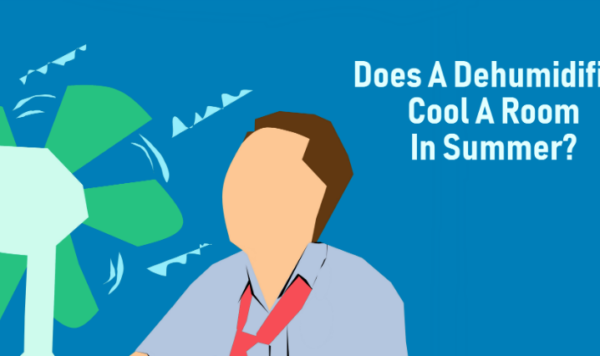 does a dehumidifier cool a room in summer
