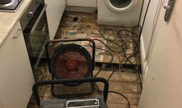 industrial dehumidifier and industrial fan
