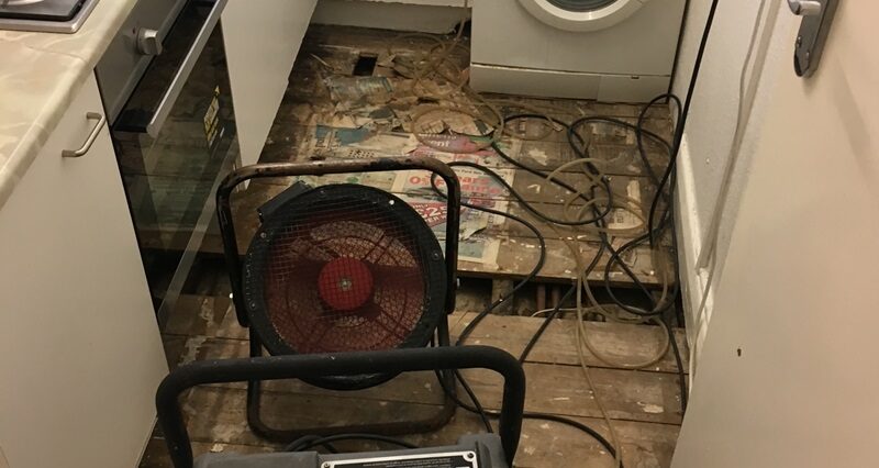 IMG_0704 industrial dehumidifier and industrial fan