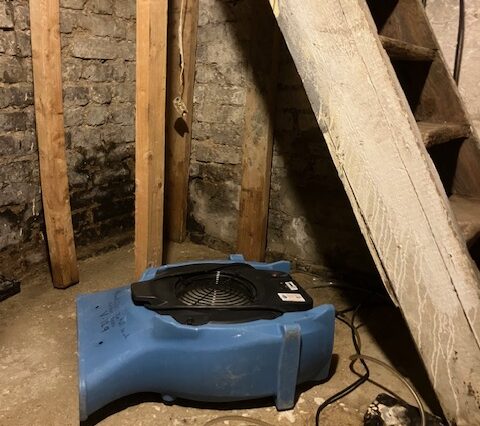How to Dry a Flooded Residential Basement
