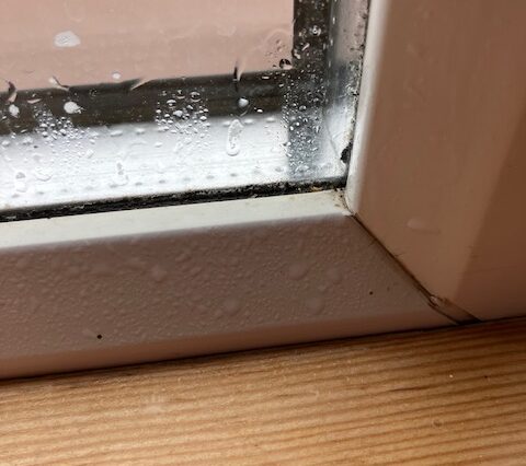 Condensation on Windows Every Morning? Here’s What It Means