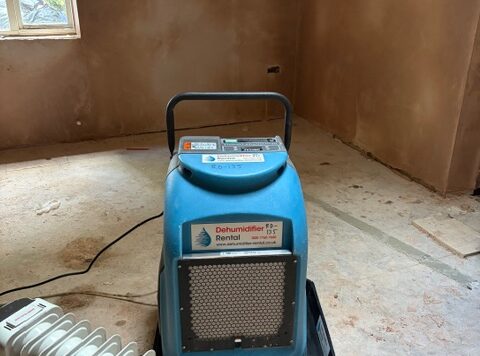 How to Dry Wet Plaster (Fast & Safely)