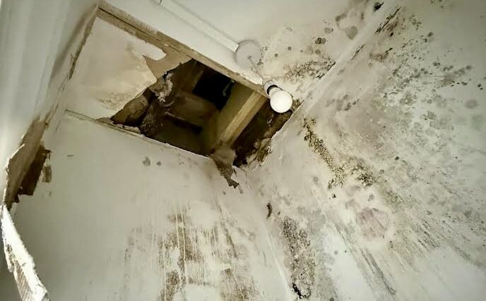 How to Dry Out a Mouldy Flat (Fast & Effectively)